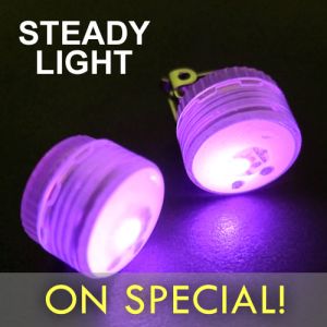 Mini LED Clip Lights