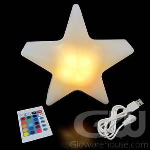 LED Star Centerpiece Lamp Light with Remote