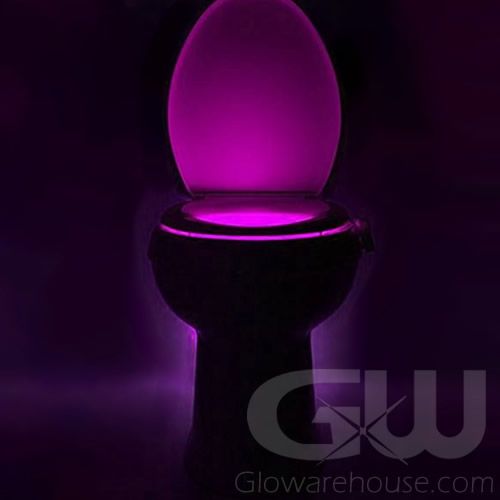 Lighted LED Toilet Bowl Light Glowarehouse
